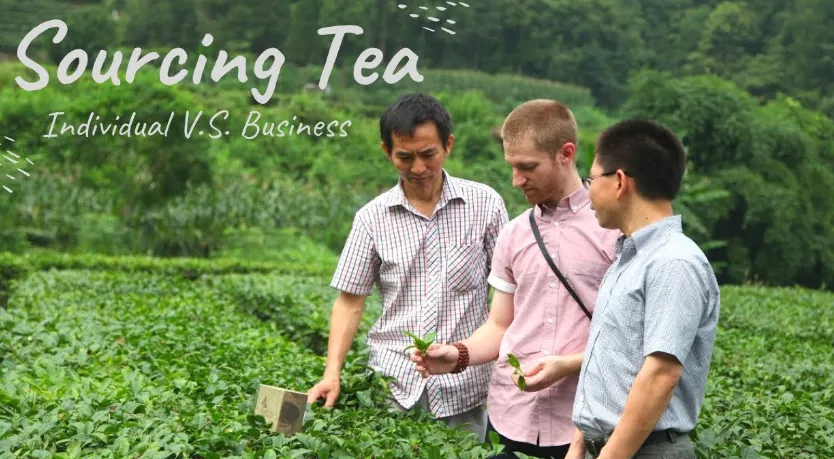 Wie man Tee aus China -Zuliefereridentifikation & Vetting bezieht - Der ESG Deep Dive

 
 
 